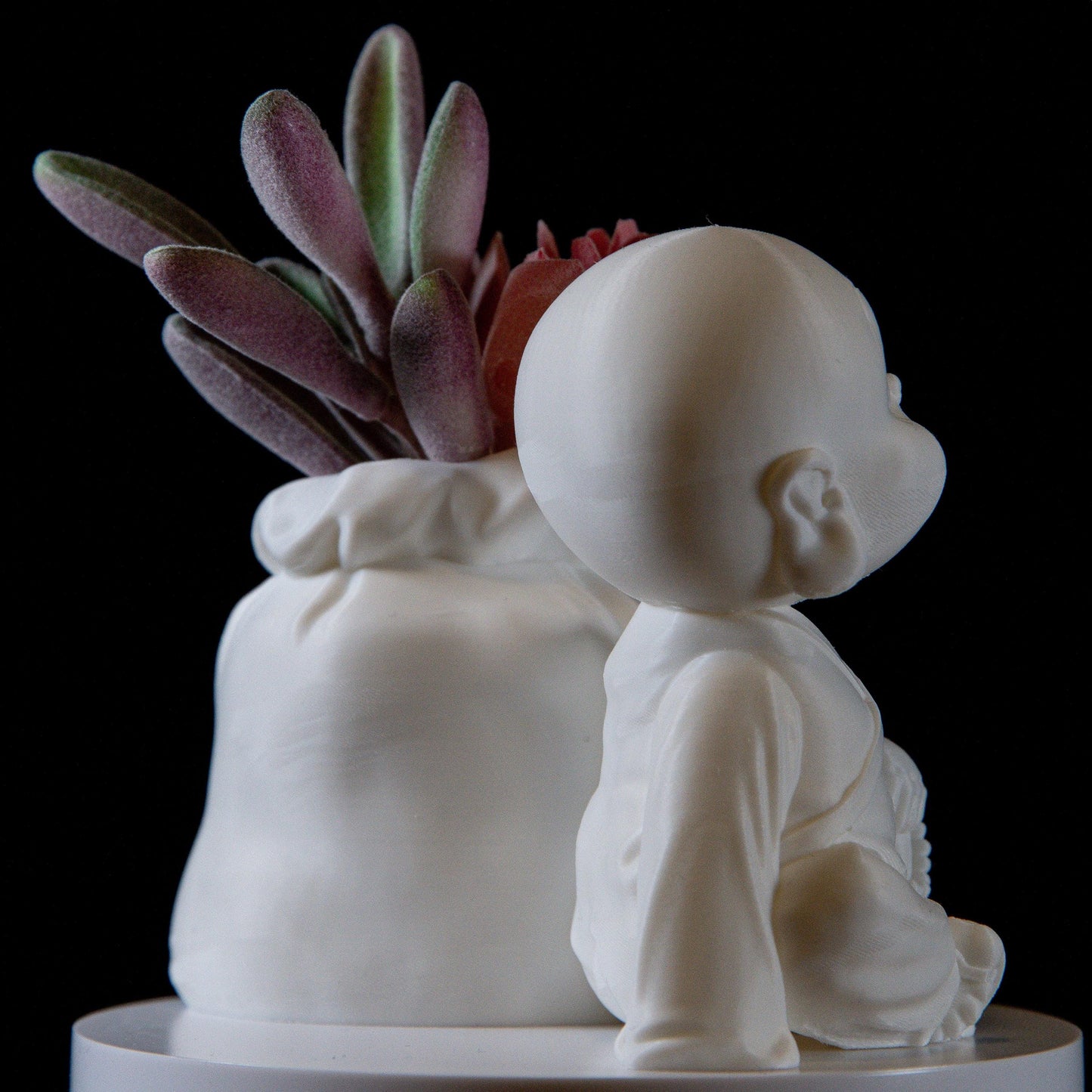 Cute Monk with Wealth Bag Succulents – Feng Shui Home Decor, Symbol of Abundance, Meditation Gift
