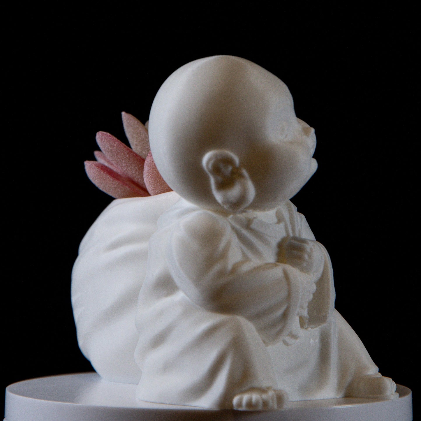 Laughing buddha with Wealth Bag succulent – Feng Shui Wealth & Luck Statue | Spiritual Home Décor |