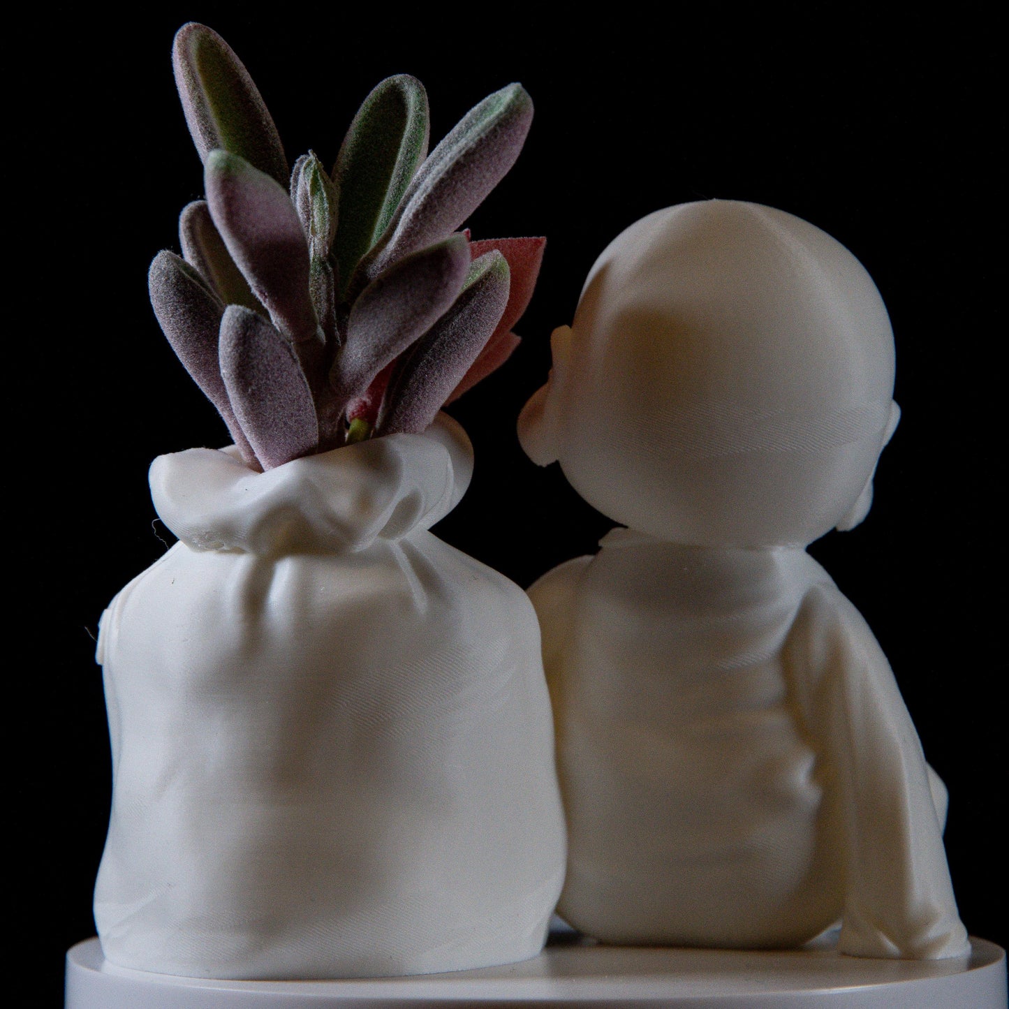Cute Monk with Wealth Bag Succulents – Feng Shui Home Decor, Symbol of Abundance, Meditation Gift