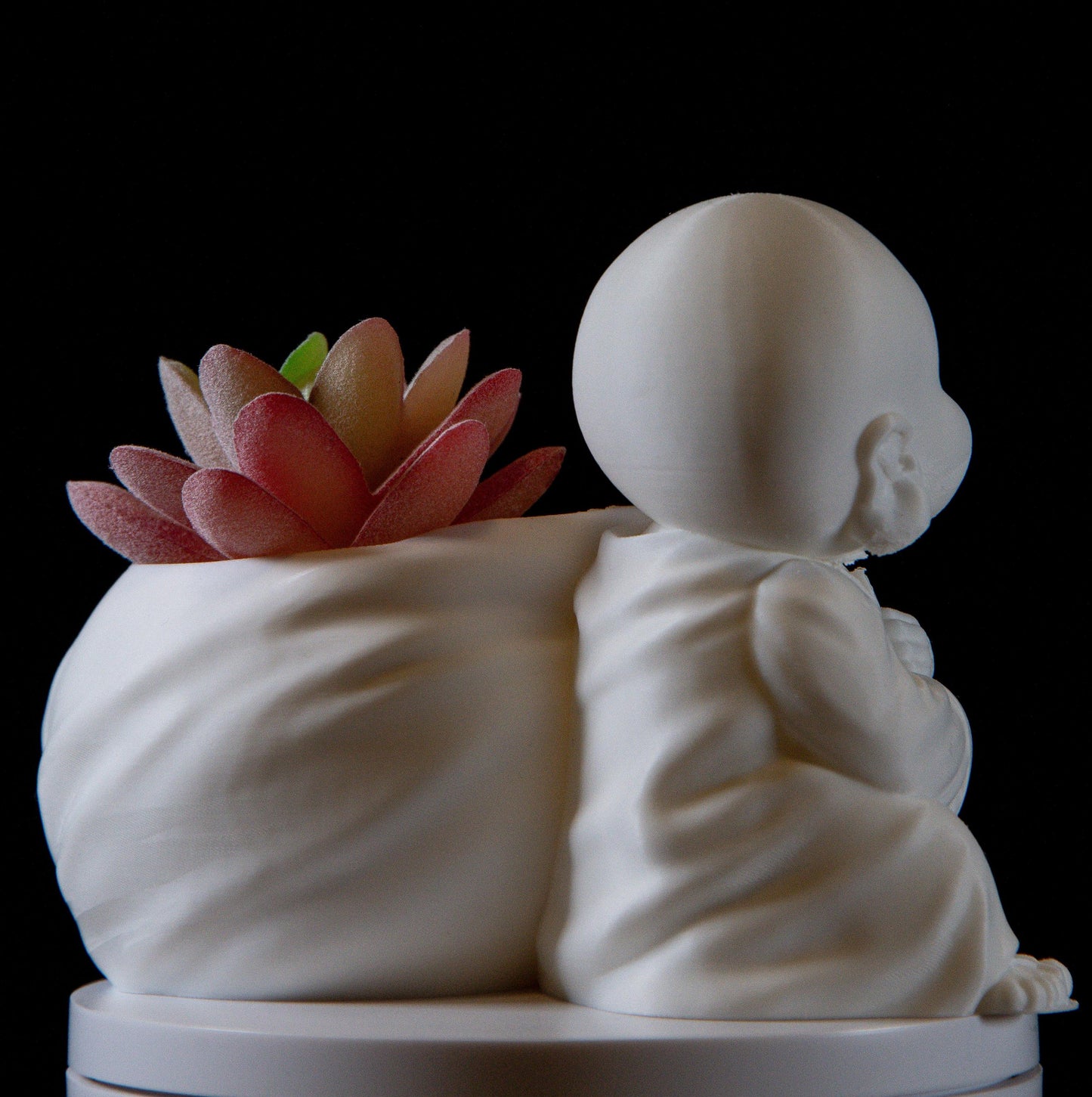 Laughing buddha with Wealth Bag succulent – Feng Shui Wealth & Luck Statue | Spiritual Home Décor |