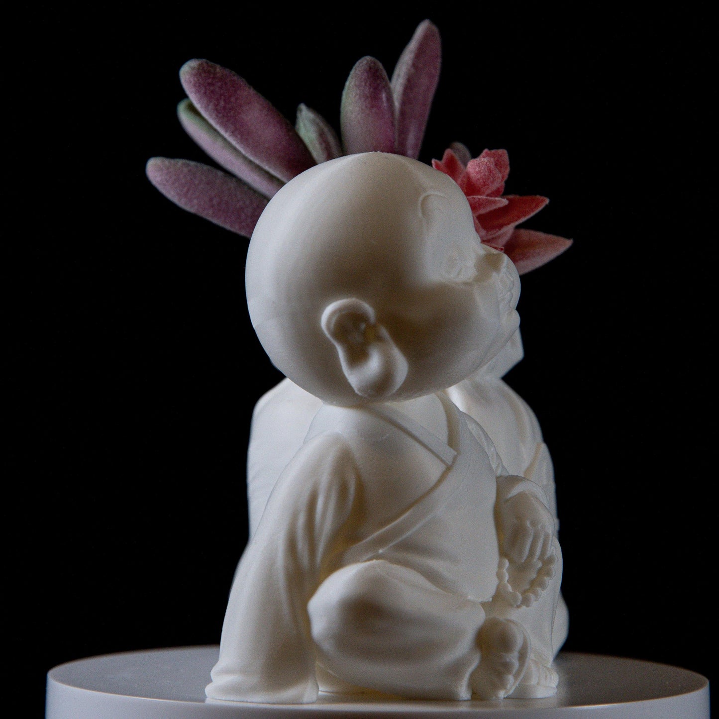 Cute Monk with Wealth Bag Succulents – Feng Shui Home Decor, Symbol of Abundance, Meditation Gift