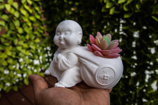 Laughing buddha with Wealth Bag succulent – Feng Shui Wealth & Luck Statue | Spiritual Home Décor |
