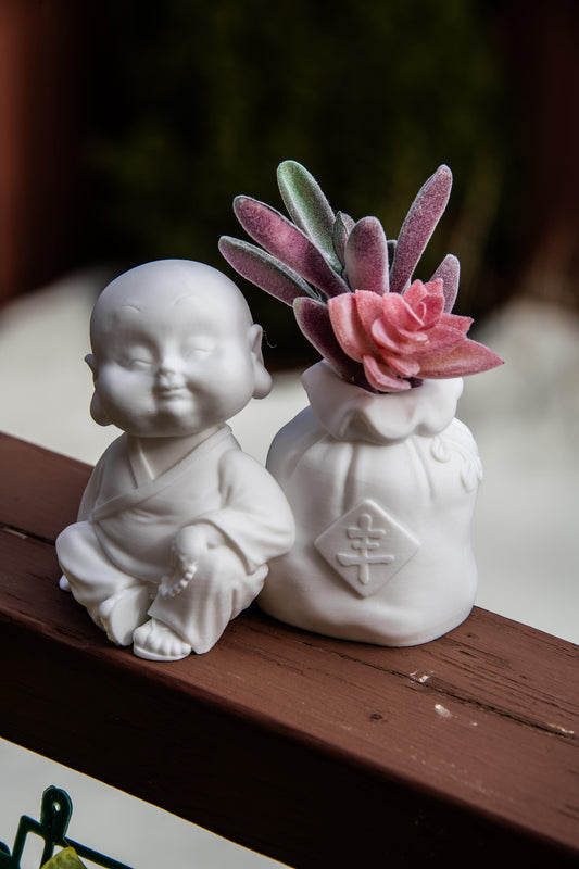 Cute Monk with Wealth Bag Succulents – Feng Shui Home Decor, Symbol of Abundance, Meditation Gift