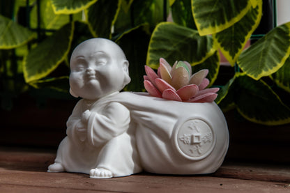 Laughing buddha with Wealth Bag succulent – Feng Shui Wealth & Luck Statue | Spiritual Home Décor |