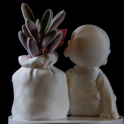 Cute Monk with Wealth Bag Succulents – Feng Shui Home Decor, Symbol of Abundance, Meditation Gift