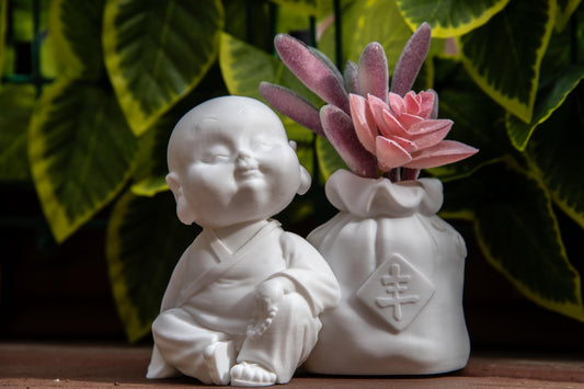 Cute Monk with Wealth Bag Succulents – Feng Shui Home Decor, Symbol of Abundance, Meditation Gift